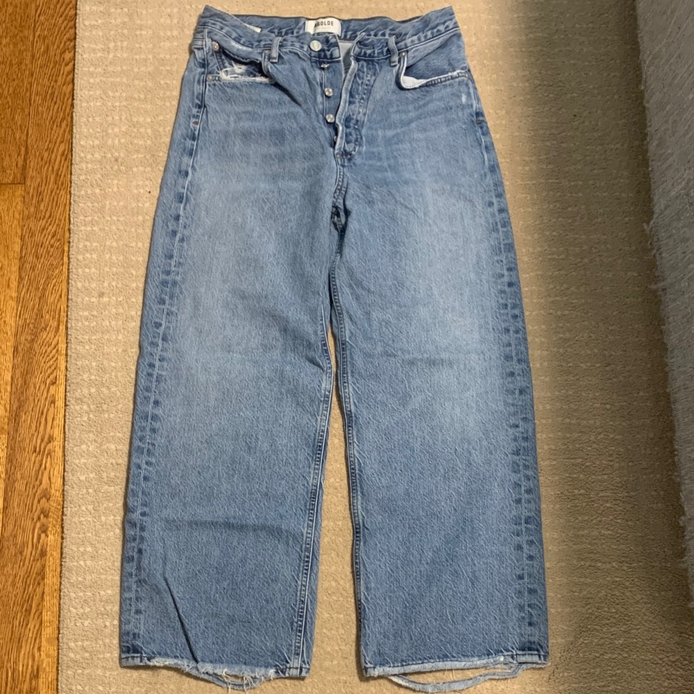 Agolde Ren High Rise Straight Crop Jeans